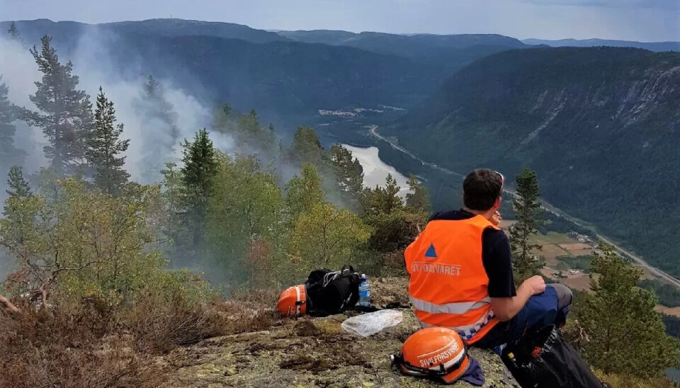 DAL I BRANN: Ett av mannskapet tar seg en pause på toppen av den bratte åskamen mens han ser røyken stige opp fra skogen. DAL I BRANN: Ett av mannskapet tar seg en pause på toppen av den bratte åskamen mens han ser røyken stige opp fra skogen.