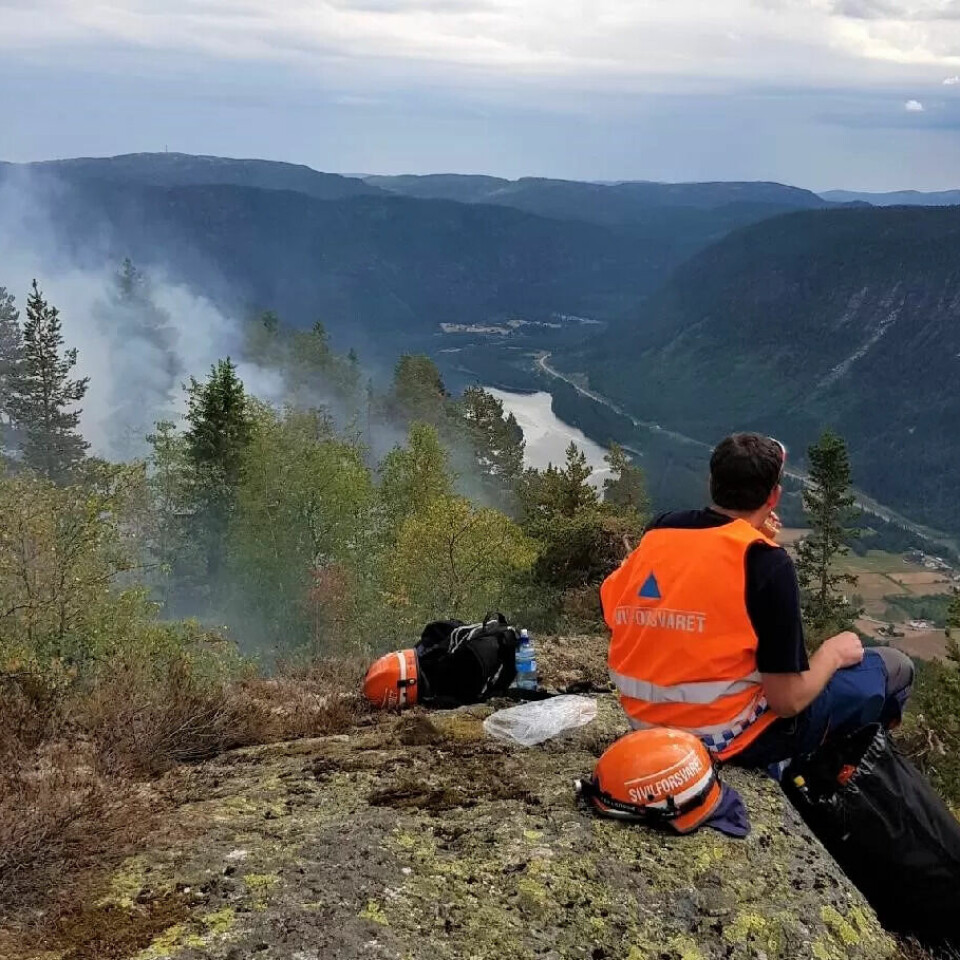 DAL I BRANN: Ett av mannskapet tar seg en pause på toppen av den bratte åskamen mens han ser røyken stige opp fra skogen. DAL I BRANN: Ett av mannskapet tar seg en pause på toppen av den bratte åskamen mens han ser røyken stige opp fra skogen.