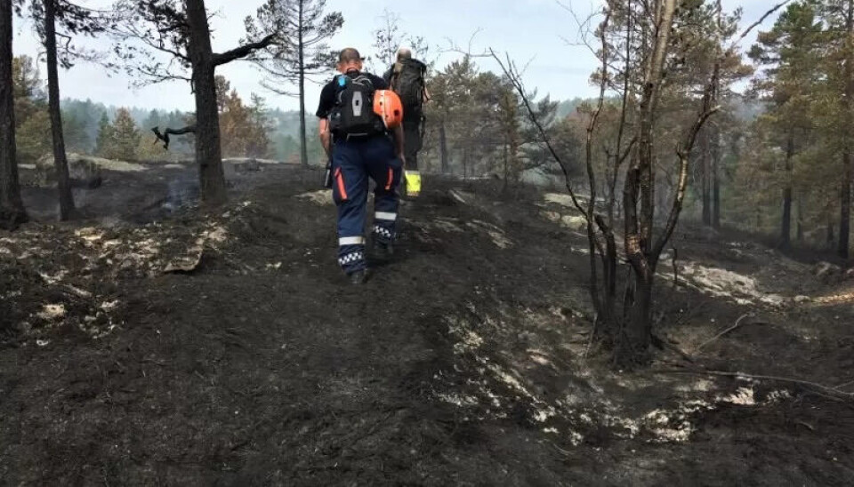 SVARTSVIDD: Dette synet møtte Sivilforsvarets mannskap i det de ankom Setesdal. I løpet av denne uken fikk de kontroll over brannen. SVARTSVIDD: Dette synet møtte Sivilforsvarets mannskap i det de ankom Setesdal. I løpet av denne uken fikk de kontroll over brannen.