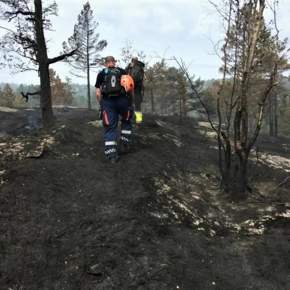 SVARTSVIDD: Dette synet møtte Sivilforsvarets mannskap i det de ankom Setesdal. I løpet av denne uken fikk de kontroll over brannen. SVARTSVIDD: Dette synet møtte Sivilforsvarets mannskap i det de ankom Setesdal. I løpet av denne uken fikk de kontroll over brannen.