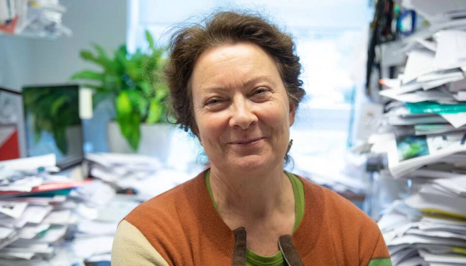 Professor i informatikk, Tone Bratteteig, ved Universitetet i Oslo, leder en forskningsgruppe for design av digitale informasjonstjenester. Professor i informatikk, Tone Bratteteig, ved Universitetet i Oslo, leder en forskningsgruppe for design av digitale informasjonstjenester.