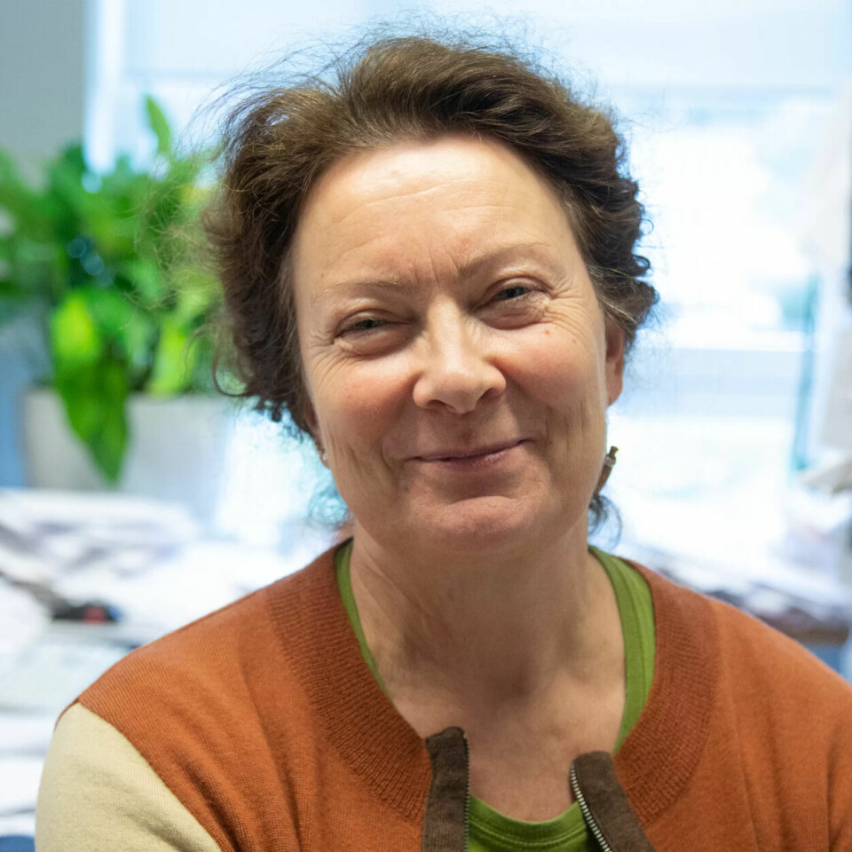 Professor i informatikk, Tone Bratteteig, ved Universitetet i Oslo, leder en forskningsgruppe for design av digitale informasjonstjenester. Professor i informatikk, Tone Bratteteig, ved Universitetet i Oslo, leder en forskningsgruppe for design av digitale informasjonstjenester.