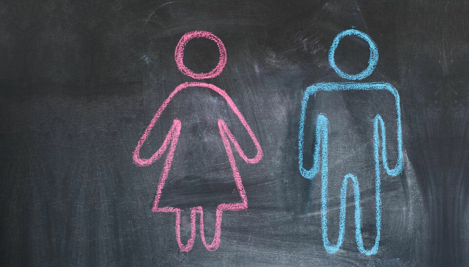 En av tre er positive til tre kjønn