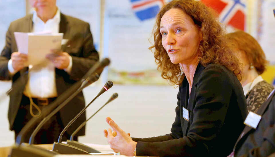 FHI-direktør Camilla Stoltenberg FHI-direktør Camilla Stoltenberg