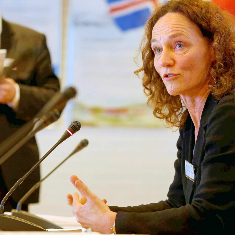 FHI-direktør Camilla Stoltenberg FHI-direktør Camilla Stoltenberg