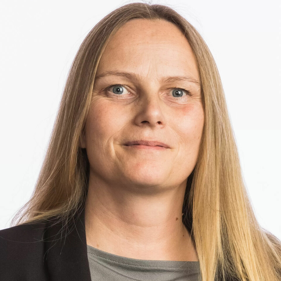 VIL INN: Linda Monsen Merkesdal. VIL INN: Linda Monsen Merkesdal.