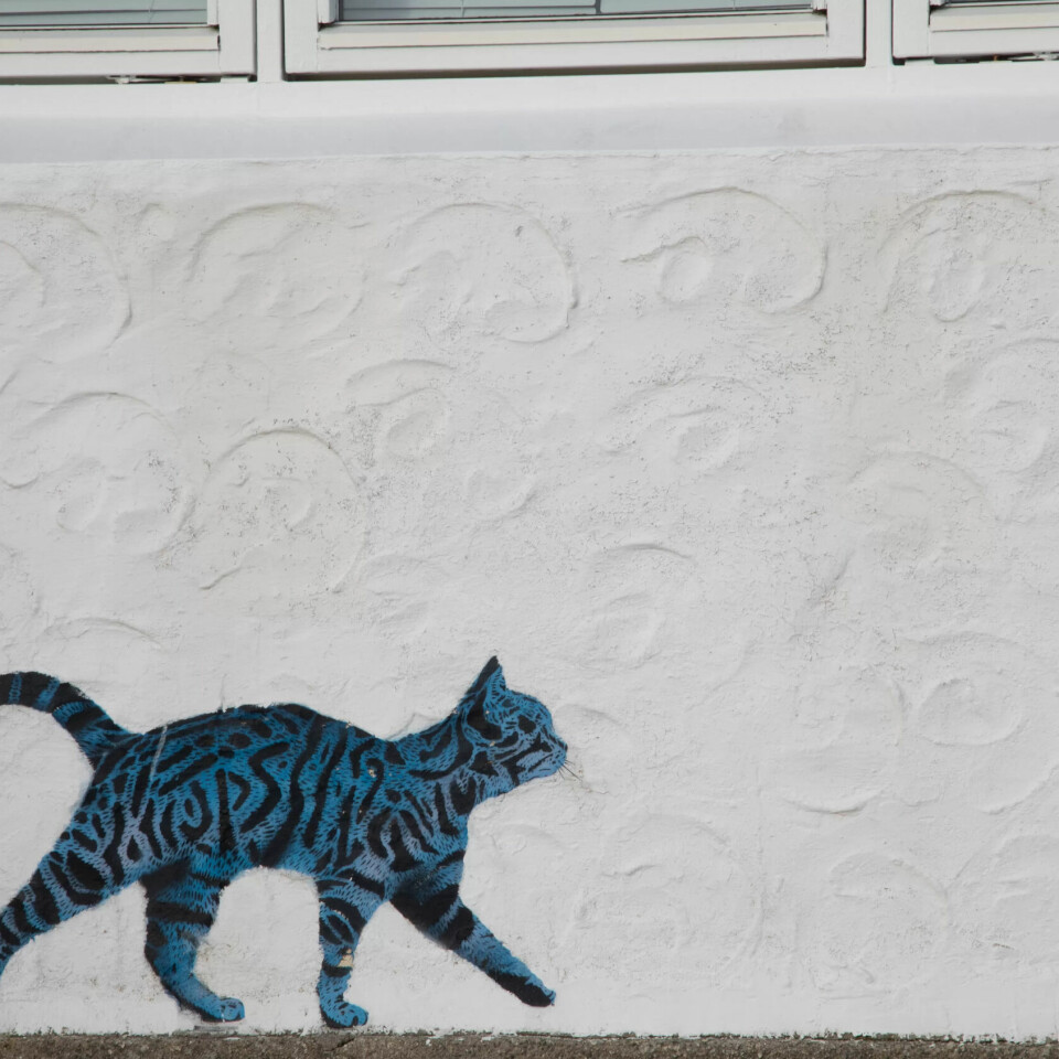 STREETART: Utsira har mye gatekunst å by på STREETART: Utsira har mye gatekunst å by på