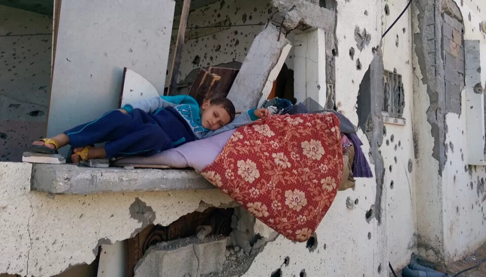 Den eneste feilen de fleste av dem har gjort er at de ble født i Gaza
