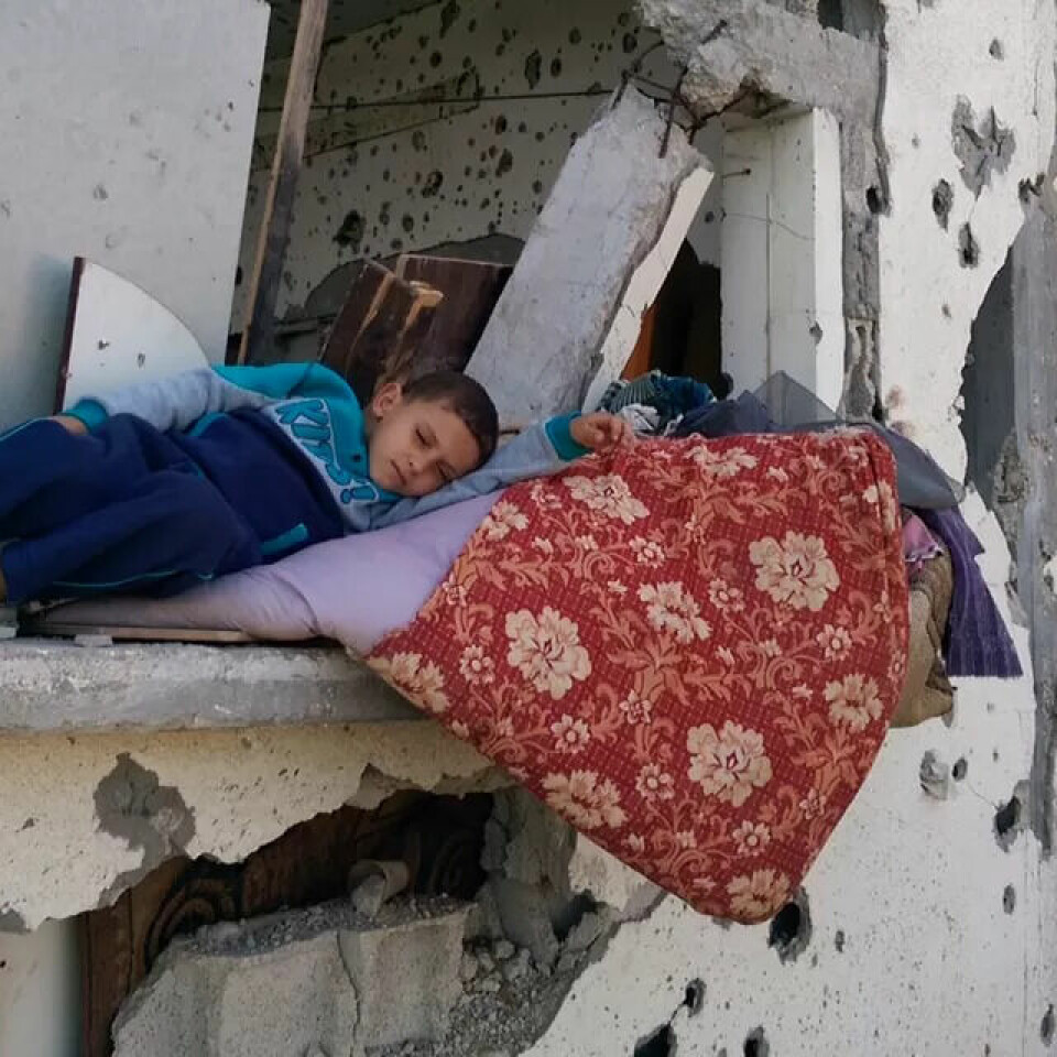 Den eneste feilen de fleste av dem har gjort er at de ble født i Gaza