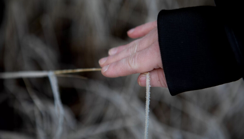 UTSATT FOR VOLD. Camilla (37) opplevde vold i oppveksten, men har måttet gi opp kampen om mer erstatning. UTSATT FOR VOLD. Camilla (37) opplevde vold i oppveksten, men har måttet gi opp kampen om mer erstatning.