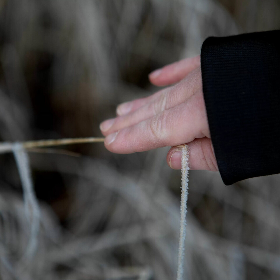 UTSATT FOR VOLD. Camilla (37) opplevde vold i oppveksten, men har måttet gi opp kampen om mer erstatning. UTSATT FOR VOLD. Camilla (37) opplevde vold i oppveksten, men har måttet gi opp kampen om mer erstatning.