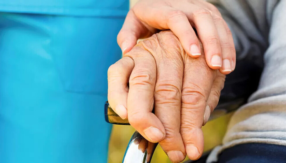 Erna Solberg lover samme lønn og rettigheter for ansatte i privat som offentlig sektor. Erna Solberg lover samme lønn og rettigheter for ansatte i privat som offentlig sektor.