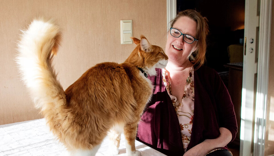 RO: Kos med Pus roer når det trykker innvendig. – Spesialisthelsetjenesten er så neddynga at de ikke klarer å møte fristene til Nav, sier Helene Spro, helsefagarbeider og mor til to døtre med spesielle behov. Hun har permisjon uten lønn for å ta vare på barnet sitt på skolen og sliter økonomisk. Spro får ikke engang søkt om pleiepenger grunnet lang ventetid i spesialisthelsetjenesten. RO: Kos med Pus roer når det trykker innvendig. – Spesialisthelsetjenesten er så neddynga at de ikke klarer å møte fristene til Nav, sier Helene Spro, helsefagarbeider og mor til to døtre med spesielle behov. Hun har permisjon uten lønn for å ta vare på barnet sitt på skolen og sliter økonomisk. Spro får ikke engang søkt om pleiepenger grunnet lang ventetid i spesialisthelsetjenesten.