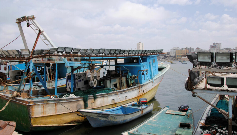 GAZA HAVN: Bildet er fra før krigen. Nå samler fiskerne utstyr og båter som ikke er ødelagt, og drar ut igjen. GAZA HAVN: Bildet er fra før krigen. Nå samler fiskerne utstyr og båter som ikke er ødelagt, og drar ut igjen.