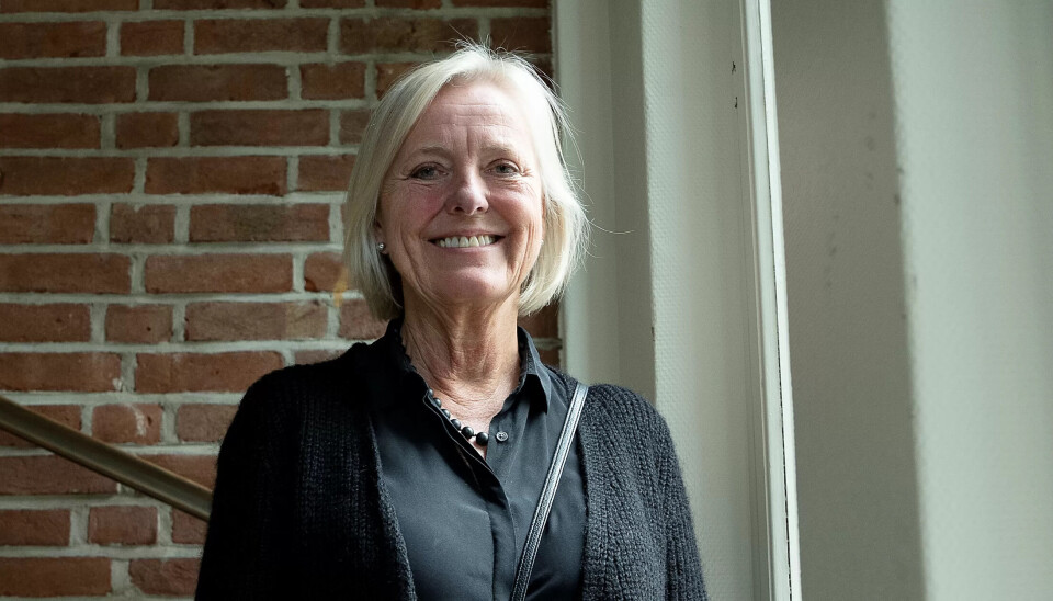 Reisende i arbeidsmiljø: Prosjektleder Elisabeth Goffeng lager verktøy for forbedring av arbeidsmiljø. Reisende i arbeidsmiljø: Prosjektleder Elisabeth Goffeng lager verktøy for forbedring av arbeidsmiljø.