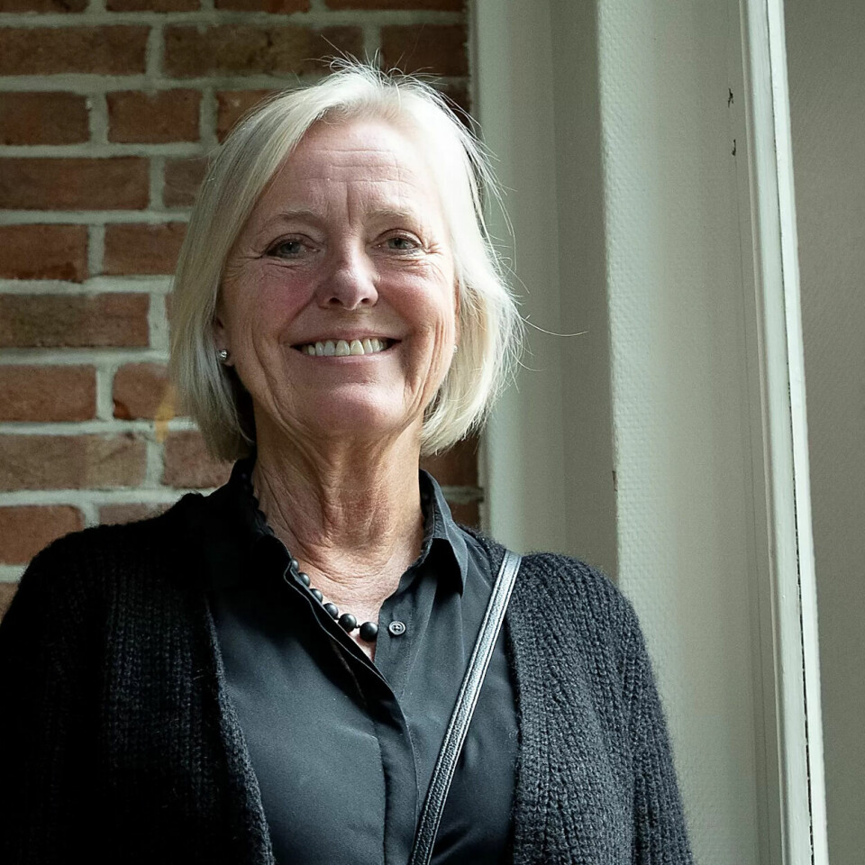 Reisende i arbeidsmiljø: Prosjektleder Elisabeth Goffeng lager verktøy for forbedring av arbeidsmiljø. Reisende i arbeidsmiljø: Prosjektleder Elisabeth Goffeng lager verktøy for forbedring av arbeidsmiljø.