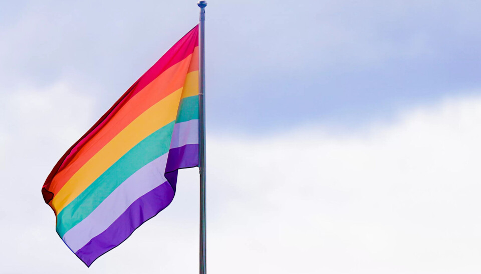 YTRING: Er regnbogeflagget ei politisk ytring som er innafor på kontoret? Ja meiner ekspert på ytringsfridom ved Norges institusjon for menneskerettigheter. Nei meiner ordføararen i Lyngdal. YTRING: Er regnbogeflagget ei politisk ytring som er innafor på kontoret? Ja meiner ekspert på ytringsfridom ved Norges institusjon for menneskerettigheter. Nei meiner ordføararen i Lyngdal.