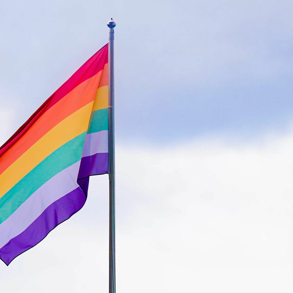 YTRING: Er regnbogeflagget ei politisk ytring som er innafor på kontoret? Ja meiner ekspert på ytringsfridom ved Norges institusjon for menneskerettigheter. Nei meiner ordføararen i Lyngdal. YTRING: Er regnbogeflagget ei politisk ytring som er innafor på kontoret? Ja meiner ekspert på ytringsfridom ved Norges institusjon for menneskerettigheter. Nei meiner ordføararen i Lyngdal.