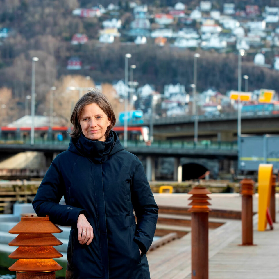 FRA VEST: Da intervjuet ble gjort, hadde stortingsrepresentant Toppe korona-hjemmekontor i Bergen. FRA VEST: Da intervjuet ble gjort, hadde stortingsrepresentant Toppe korona-hjemmekontor i Bergen.