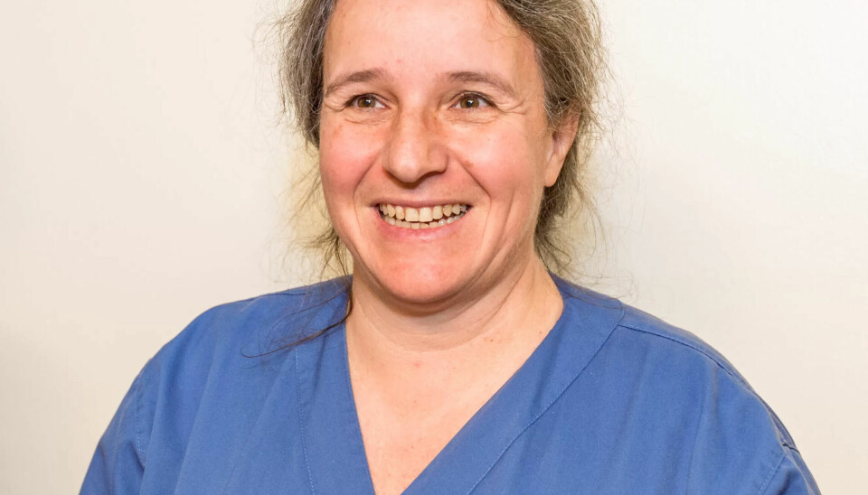 Ingrid Hermann, avdelingsoverlege Ingrid Hermann, avdelingsoverlege