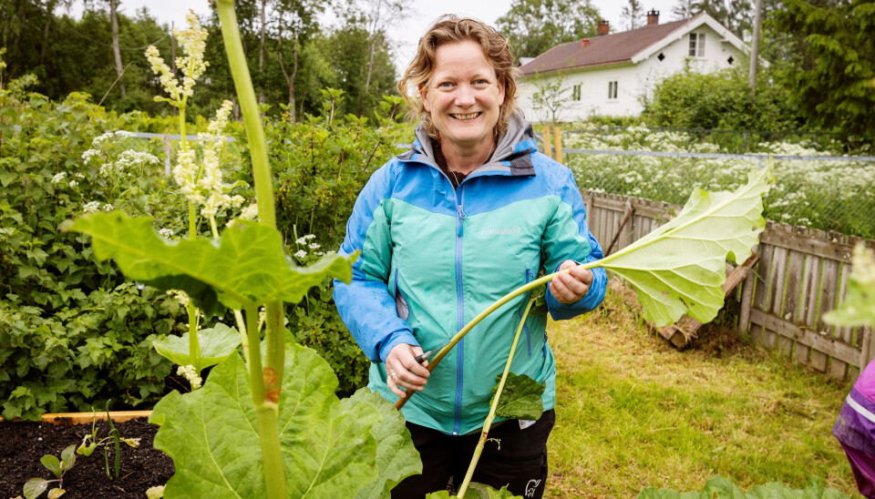 GLAD GRUPPELEDER: Barna i kjøkkengruppa er innom de fleste fagområdene i rammeplanen, mener pedagogisk leder Karianne Tokstad. GLAD GRUPPELEDER: Barna i kjøkkengruppa er innom de fleste fagområdene i rammeplanen, mener pedagogisk leder Karianne Tokstad.