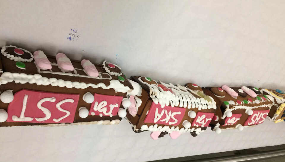 FLERE SEKSJONER: Rekordtåget mestår av mange seksjoner... FLERE SEKSJONER: Rekordtåget mestår av mange seksjoner...