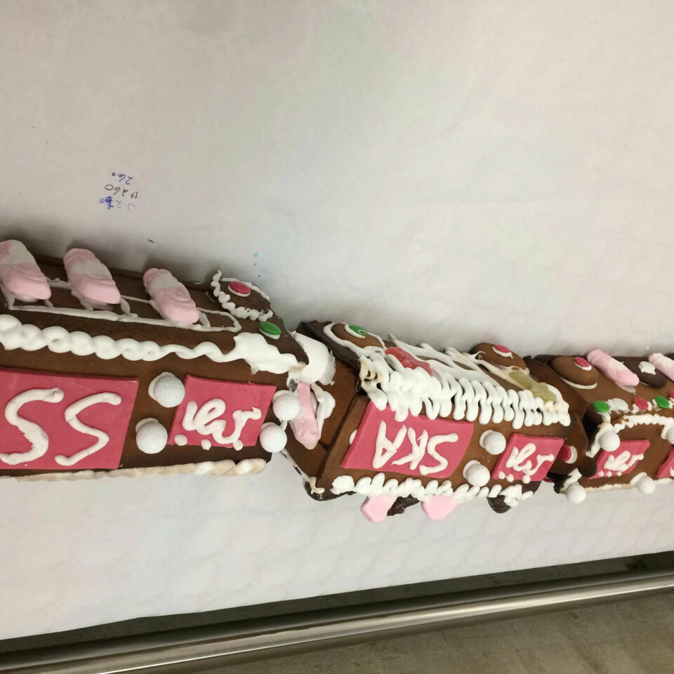 FLERE SEKSJONER: Rekordtåget mestår av mange seksjoner... FLERE SEKSJONER: Rekordtåget mestår av mange seksjoner...