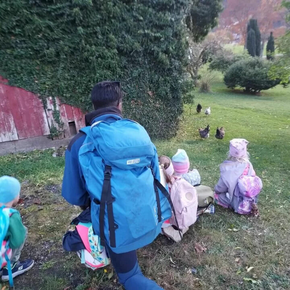 Oles drømmehverdag: Ole og barna på avdeling Tyttebærtua i Mork barnehage er ofte på tur. Her hilser de på hønene på en gård like ved siden av barnehagen. Oles drømmehverdag: Ole og barna på avdeling Tyttebærtua i Mork barnehage er ofte på tur. Her hilser de på hønene på en gård like ved siden av barnehagen.