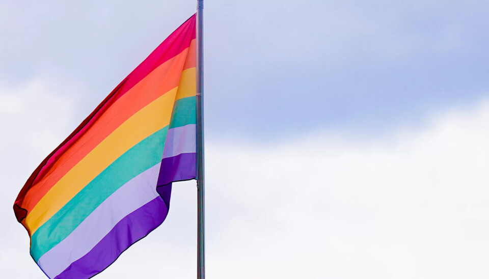 HEISES: Flere ordførere sier de vil heise prideflagget. HEISES: Flere ordførere sier de vil heise prideflagget.