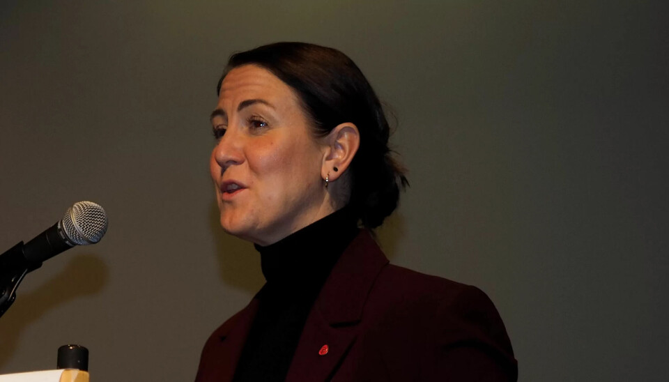 Kunnskapsminister Tonje Brenna vil stramme inn reglene for private barnehager. Kunnskapsminister Tonje Brenna vil stramme inn reglene for private barnehager.