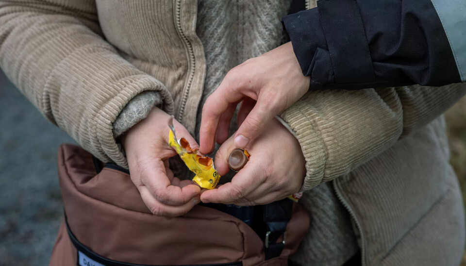 Tvang og krav: Det har gått seg veldig bra til, sier Olaug Nilssen om livet sønnen har i bofellesskapet han flyttet til som 14-åring. Her får han sjokolade funnet i morens veske. Tvang og krav: Det har gått seg veldig bra til, sier Olaug Nilssen om livet sønnen har i bofellesskapet han flyttet til som 14-åring. Her får han sjokolade funnet i morens veske.