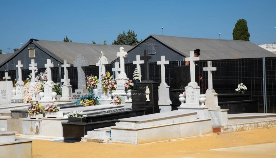 SEVILLA: Massegraven Pico Reja ble åpnet for halvannet år siden. Ennå pågår arbeidet med å grave ut og identifisere sivile ofre for Franco-regimet. SEVILLA: Massegraven Pico Reja ble åpnet for halvannet år siden. Ennå pågår arbeidet med å grave ut og identifisere sivile ofre for Franco-regimet.