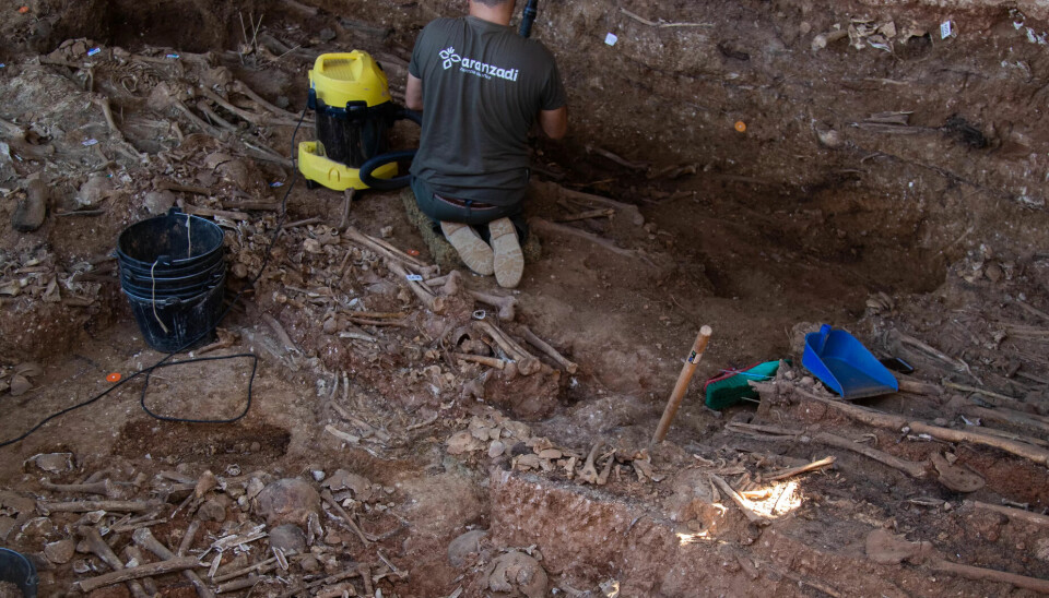 BEINBLANDING: Spesialistene som graver ut Pico Reja ser at den originale massegraven er endret. Ofre er blandet sammen med avfall og levninger fra mennesker som ikke er drept. BEINBLANDING: Spesialistene som graver ut Pico Reja ser at den originale massegraven er endret. Ofre er blandet sammen med avfall og levninger fra mennesker som ikke er drept.