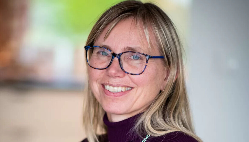 Derfor er renholderne ekstra viktig for Henriette og sønnen: – Takk og lov for fagbrev og kunnskap