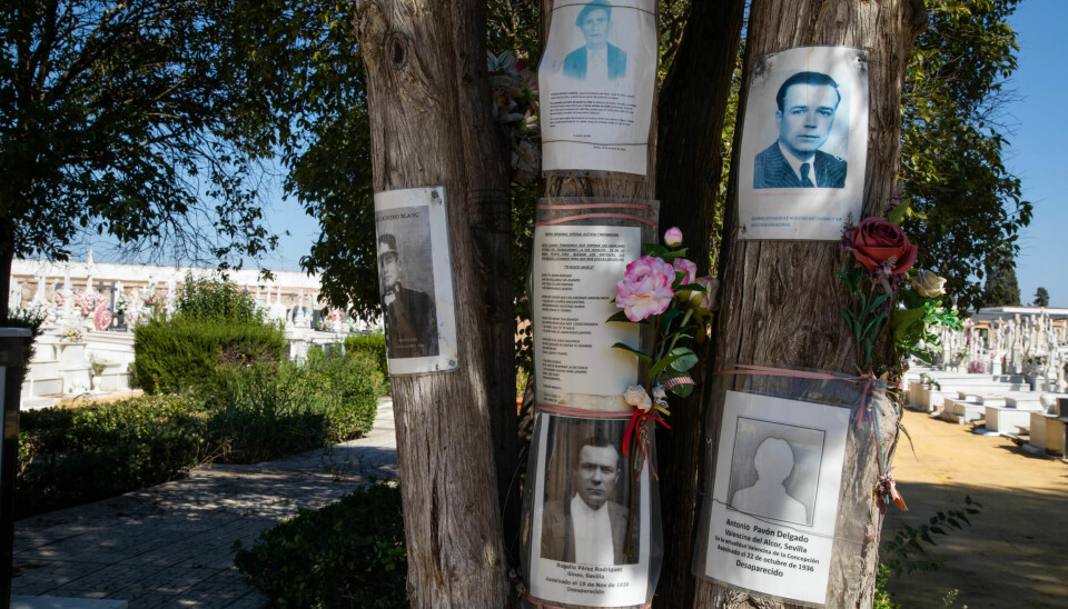 FLERE GRAVER: Rogelio Pérez Rodriguez kan også ligge i en massegrav bak disse trærne, rett ved Pico Reja FLERE GRAVER: Rogelio Pérez Rodriguez kan også ligge i en massegrav bak disse trærne, rett ved Pico Reja