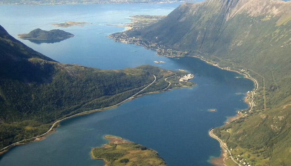 BEHOLDER: Vesterålen får beholde sitt desentraliserte sykepleietilbud. Det ble fattet på et styremøte på Nord universitet tirsdag. BEHOLDER: Vesterålen får beholde sitt desentraliserte sykepleietilbud. Det ble fattet på et styremøte på Nord universitet tirsdag.