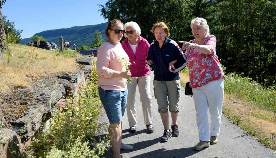 FULL STILLING: Stina Henriksen har nå to arbeidssteder, et dagsenter for demente og i hjemmesykepleien. Her er hun ute på tur med noen av dagsenter-brukerne på Hole bo- og rehabiliteringssenter. FULL STILLING: Stina Henriksen har nå to arbeidssteder, et dagsenter for demente og i hjemmesykepleien. Her er hun ute på tur med noen av dagsenter-brukerne på Hole bo- og rehabiliteringssenter.