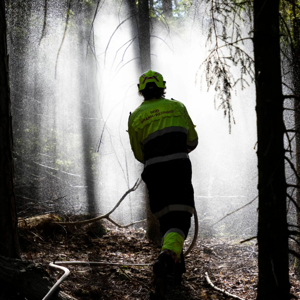 NYE UTFORDRINGER: Skogbranner blir hyppigere, og er blant utfordringene som kan kreve regional eller nasjonal myndighet til å prioritere ressursene. NYE UTFORDRINGER: Skogbranner blir hyppigere, og er blant utfordringene som kan kreve regional eller nasjonal myndighet til å prioritere ressursene.