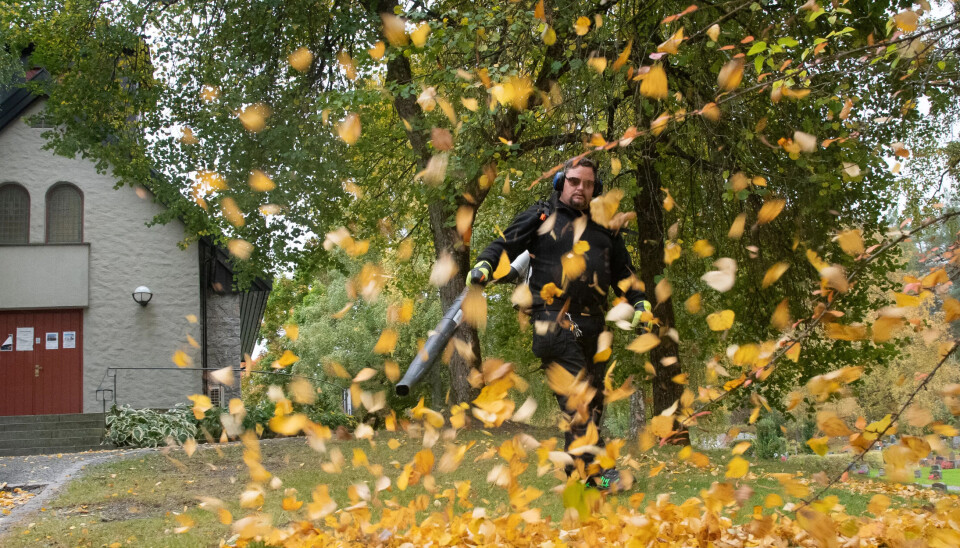 Kirken: Ingen felles arbeidsgiver for de ansatte