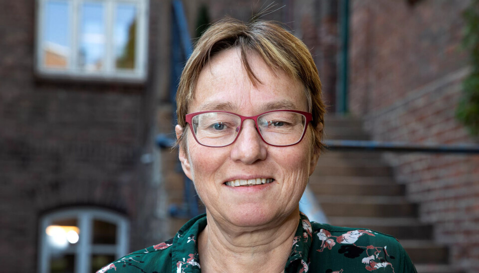 FORSKER: – Særlig når det er små potter, opplever de at det er mye jobb for lite penger, sier Fafo-forsker Kristine Nergaard. FORSKER: – Særlig når det er små potter, opplever de at det er mye jobb for lite penger, sier Fafo-forsker Kristine Nergaard.