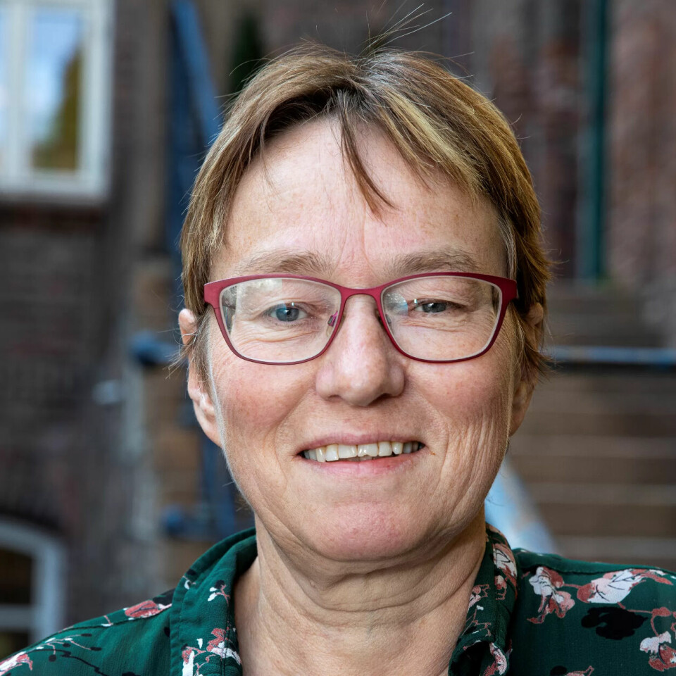 FORSKER: – Særlig når det er små potter, opplever de at det er mye jobb for lite penger, sier Fafo-forsker Kristine Nergaard. FORSKER: – Særlig når det er små potter, opplever de at det er mye jobb for lite penger, sier Fafo-forsker Kristine Nergaard.