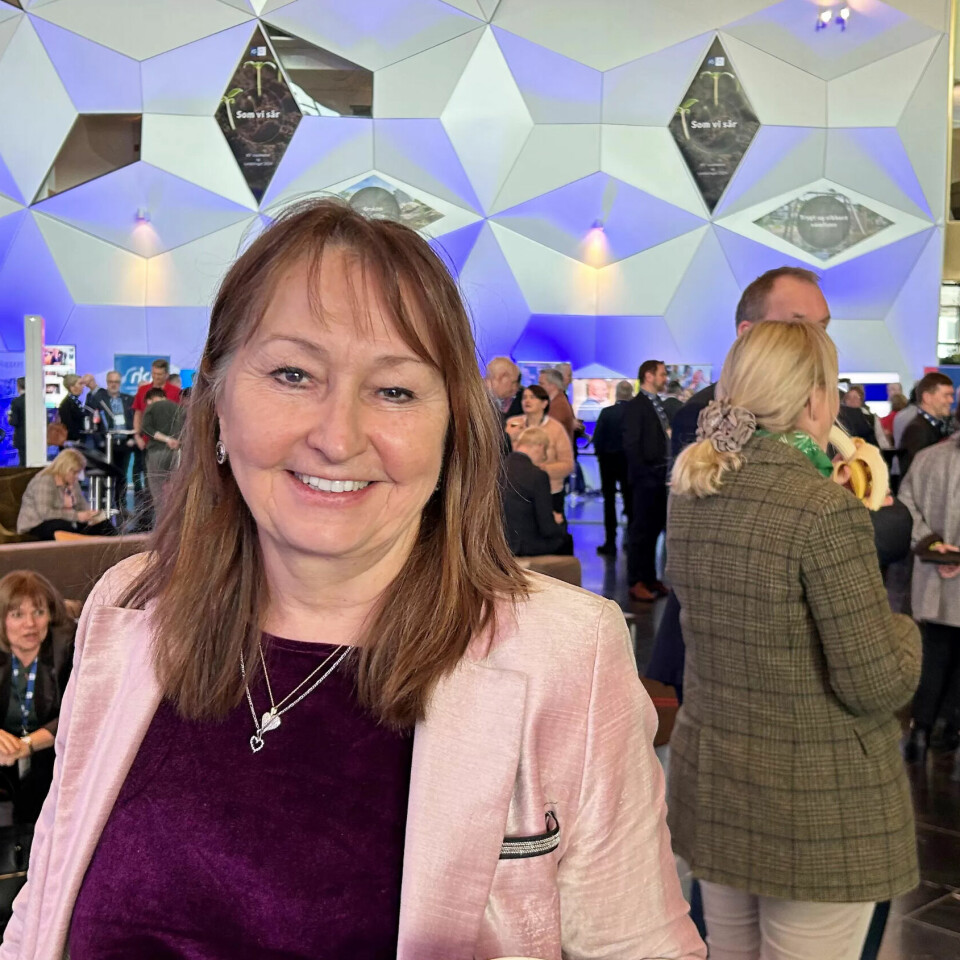 FAVORITT: Gunn Marit Helgesen var Samfunnsbedriftens favoritt. Men nå hevder styreleder at de også var åpne for en Ap-mann på toppen av KS. FAVORITT: Gunn Marit Helgesen var Samfunnsbedriftens favoritt. Men nå hevder styreleder at de også var åpne for en Ap-mann på toppen av KS.