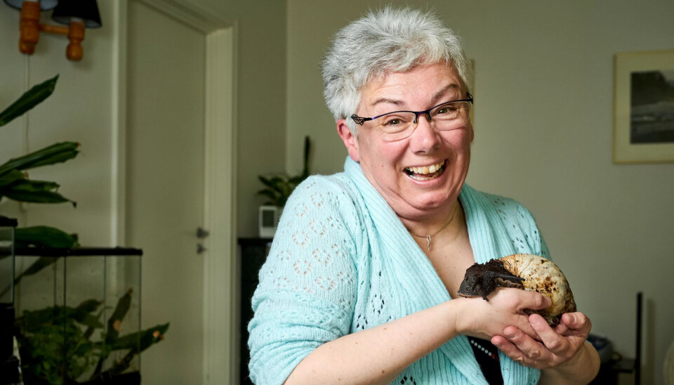 Renholder Anne Lises kjæledyr er ikke som alle andre kjæledyr