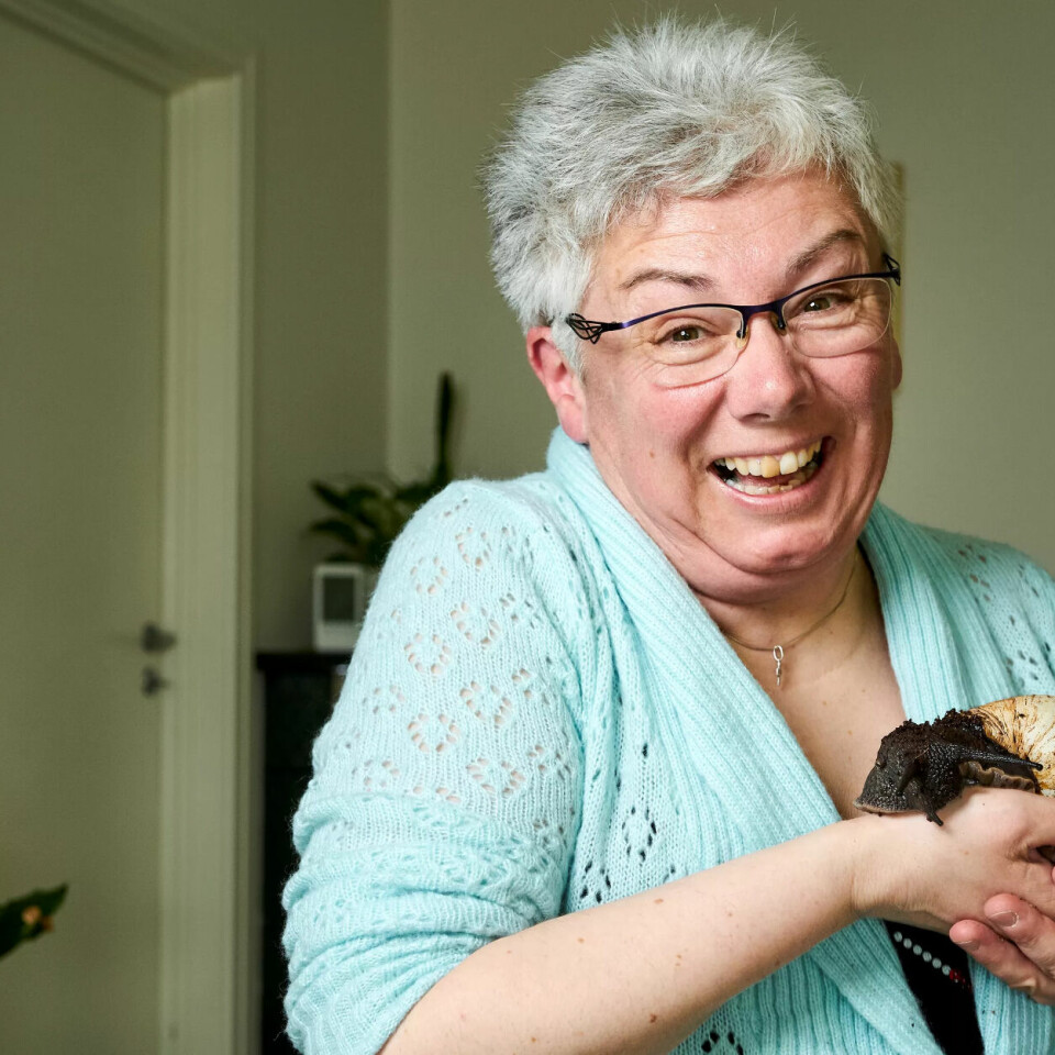 Renholder Anne Lises kjæledyr er ikke som alle andre kjæledyr