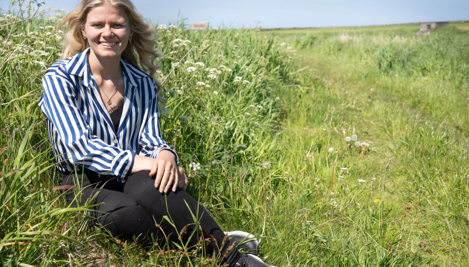 I MINDRETALL: Valget har sørget for store politiske endringer i Hå i Rogaland. Jeanette Lea Romslo er fortsatt alene fra SV i kommunestyret, og kan ikke lenger samarbeide med Arbeiderpartiet som skal være i posisjon med blant annet Høyre og Fremskrittspartiet. I MINDRETALL: Valget har sørget for store politiske endringer i Hå i Rogaland. Jeanette Lea Romslo er fortsatt alene fra SV i kommunestyret, og kan ikke lenger samarbeide med Arbeiderpartiet som skal være i posisjon med blant annet Høyre og Fremskrittspartiet.