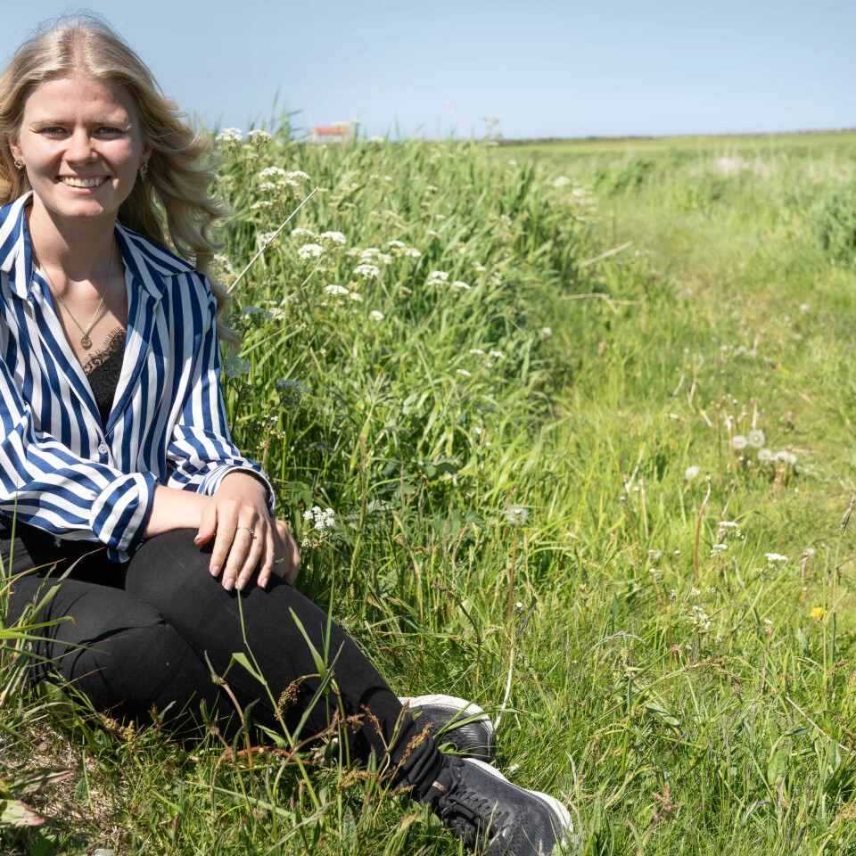 I MINDRETALL: Valget har sørget for store politiske endringer i Hå i Rogaland. Jeanette Lea Romslo er fortsatt alene fra SV i kommunestyret, og kan ikke lenger samarbeide med Arbeiderpartiet som skal være i posisjon med blant annet Høyre og Fremskrittspartiet. I MINDRETALL: Valget har sørget for store politiske endringer i Hå i Rogaland. Jeanette Lea Romslo er fortsatt alene fra SV i kommunestyret, og kan ikke lenger samarbeide med Arbeiderpartiet som skal være i posisjon med blant annet Høyre og Fremskrittspartiet.