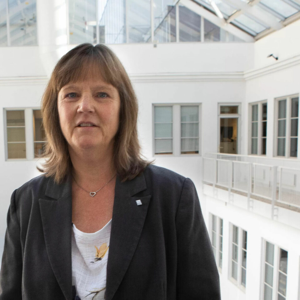 LIise Olsen, nestleder i LO Stat og forhandlingsleder. LIise Olsen, nestleder i LO Stat og forhandlingsleder.