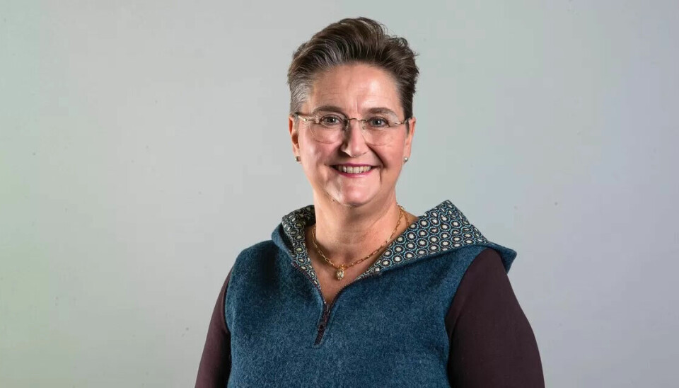 SPÅR ANDRE TIDER: Kari Kristiansen, leder for Nasjonalt senter for aldring og helse, tror vi må bygge annerledes og hjelpe hverandre mer i framtida for å håndtere eldrebølgen. SPÅR ANDRE TIDER: Kari Kristiansen, leder for Nasjonalt senter for aldring og helse, tror vi må bygge annerledes og hjelpe hverandre mer i framtida for å håndtere eldrebølgen.