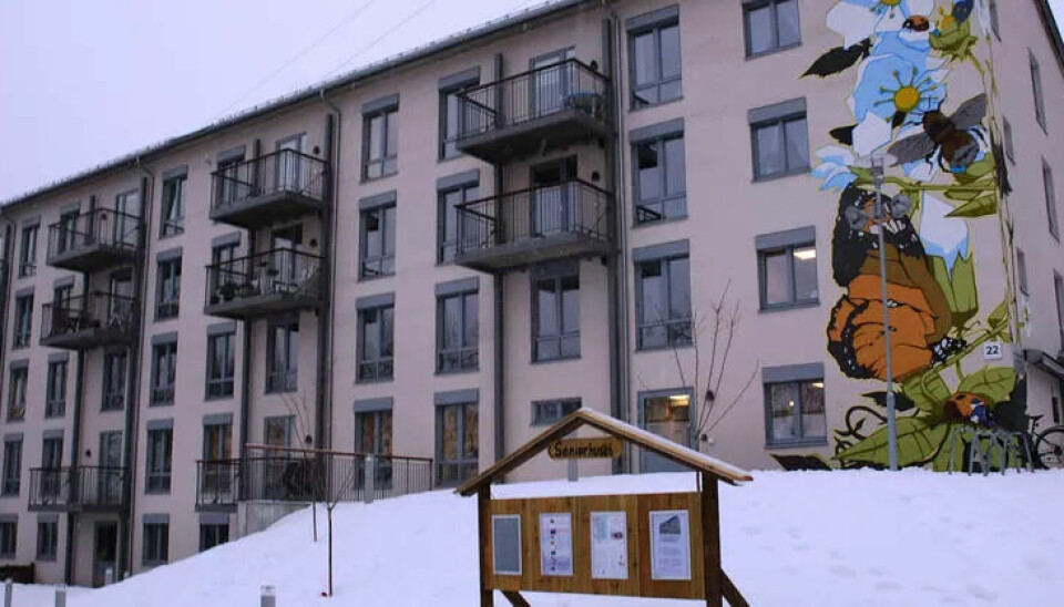 GENERASJONSBOLIG: I Pastor Fangens vei i Oslo har to studenter fått billig hybel og miljøarbeiderstatus. Denne varianten vil vi trolig se mer av. GENERASJONSBOLIG: I Pastor Fangens vei i Oslo har to studenter fått billig hybel og miljøarbeiderstatus. Denne varianten vil vi trolig se mer av.