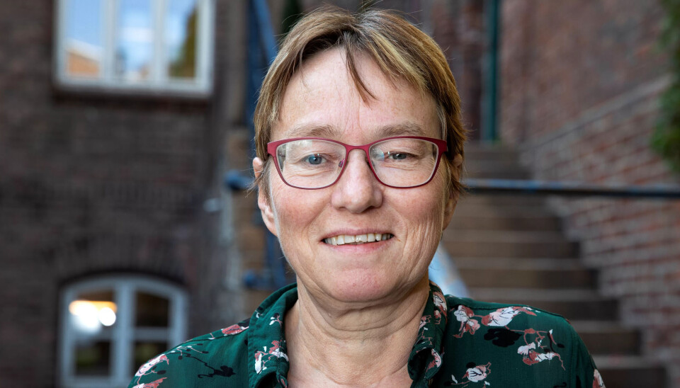 Forsker i forskningsstiftelsen Fafo, Kristine Nergaard, tror grepene danskene har tatt, også ville skapt reaksjoner i Norge. Forsker i forskningsstiftelsen Fafo, Kristine Nergaard, tror grepene danskene har tatt, også ville skapt reaksjoner i Norge.
